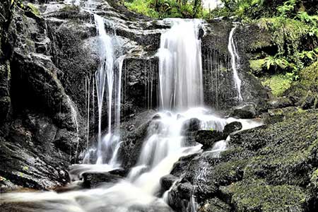 Fairlie Glen waterfall
