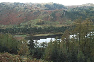 Photo from the walk - Thirlmere Circular