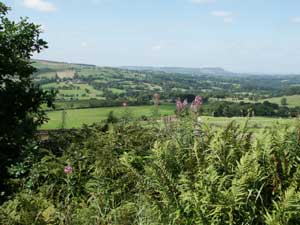 Photo from the walk - Dane Valley & Wincle from Rushton Spencer