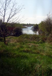 Horseshoe Nature Reserve beside the River Welland