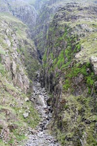 Looking up Piers Gill