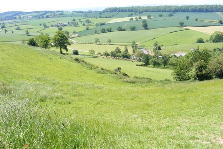 Typical Herefordshire country near Marcle Hill
