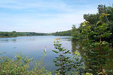 Moorgreen Reservoir, Nottinghamshire
