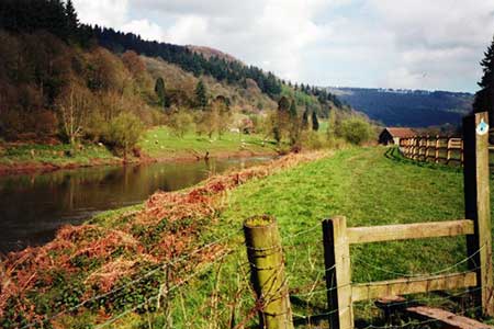 Photo from the walk - The Wye Valley
