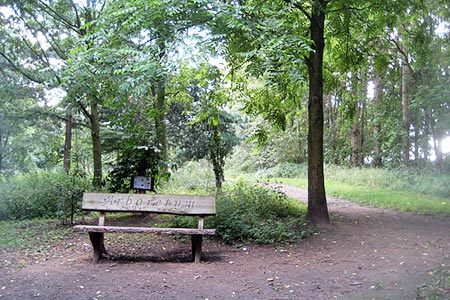 Newmillerdam Country Park Arboretum
