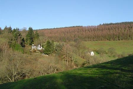 Photo from the walk - Great Rhos & the Radnor Forest from New Radnor