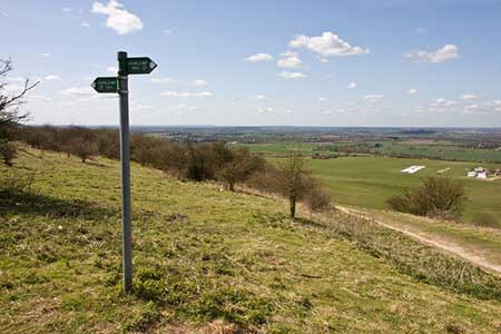Icknield Way Trail, Dunstable Downs