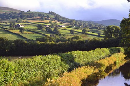 Monmouthshire and Brecon Canal west of Pencelli, Powys

