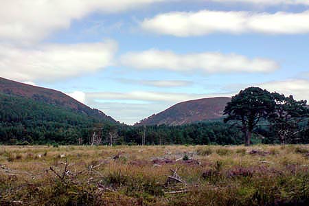 Photo from the walk - Eag a' Chait gap Via Rothiemurchus Lodge from Glenmore