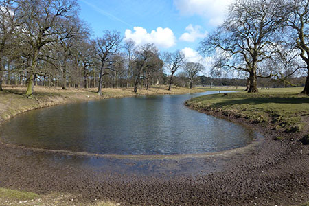 Watering spot for the deer in Holkham Park