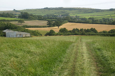 Fields near Spyway, Dorset