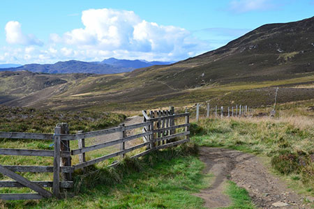 Gate on the Ben Vrackie path