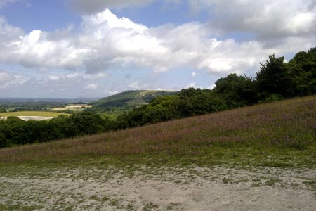Looking back over Findon Valley towards Chanctonbury Hill