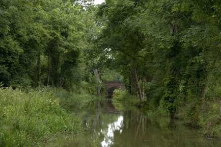 Wey & Arun Canal - a restored bridge near Loxwood