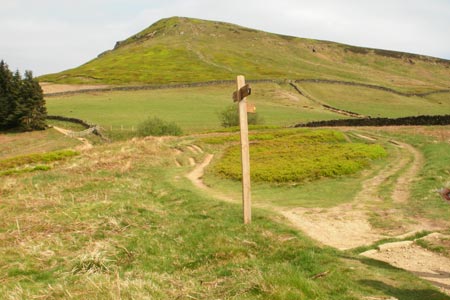 Signposts and the middle top on Cringle Moor