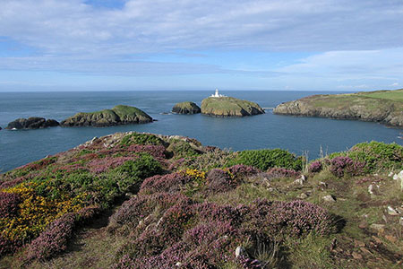 Ynys Onnen and Ynys Meicel, Strumble Head
