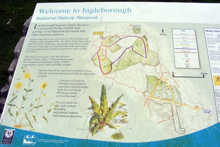 Welcome to the Ingleborough Nature Reserve
