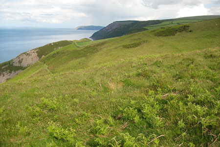 North Devon coastline viewed from the Foreland
