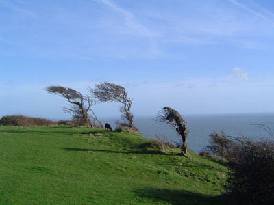 Isle of Wight National Landscape