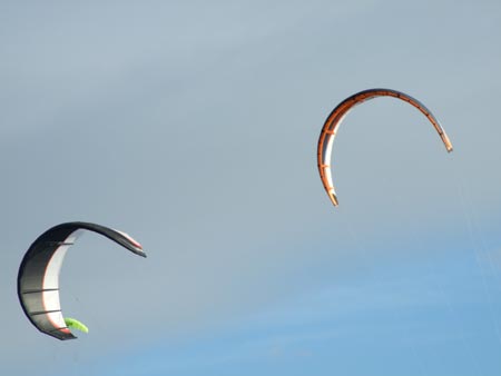 Kite Surfers 