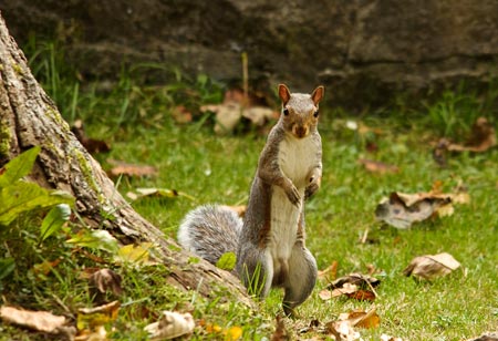 OK mister, Where's my nuts? 