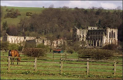 Rievaulx Abbey 