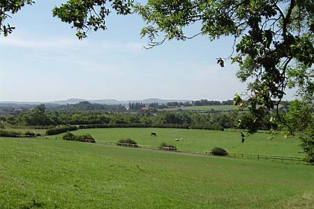 View approaching Summerhill Farm