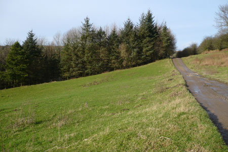 The track from Lealholm to Underpark Farm