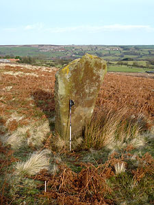 Stone marker on Glaisdale Moor