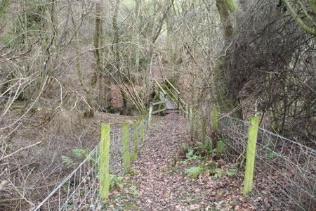 Footbridge in Park Wood near Lealholm