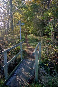 Entering Kirton Wood near Ropsley