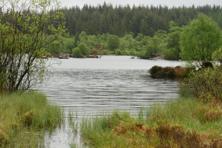 Llyn Elsi, a reservoir in the Gwydir Forest