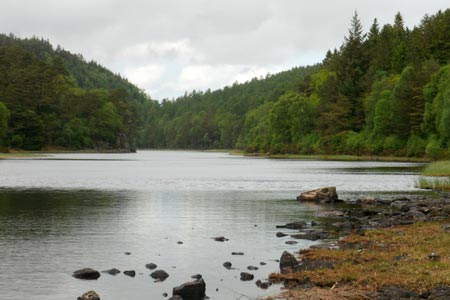 Llyn Parc in the Gywdir Forest to the north of Betws-y-Coed