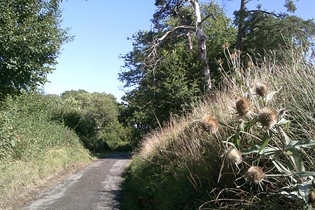 Quiet country lane near Balcombe