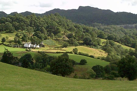 View towards Holme Fell from near to Wilson Place