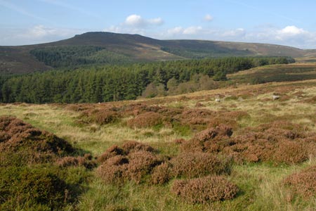 Higger Tor from the valley path