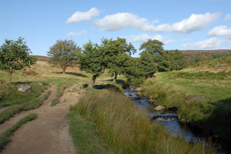 Burbage Brook in a pretty valley, Longshaw Estate