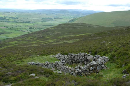 Sheep fold on the approach to the summit of Carrock Fell