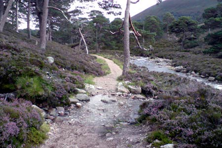 The Lairig Ghru path