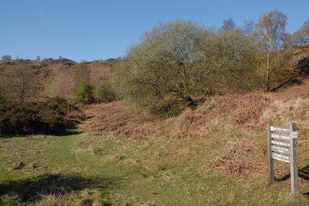 The ascent path from the road to Beacon Tarn