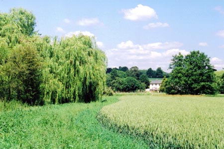 The Ash valley at Waterplace Farm