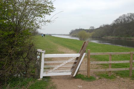 The path beside the River Trent approaching Gunthorpe