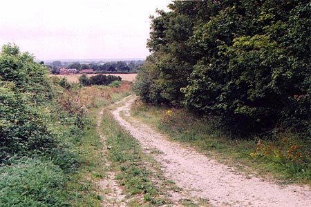 The Ridgeway between Crowell and Lewknor