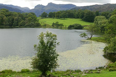 Loughrigg Tarn backed by the Langdale Pikes