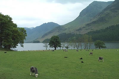 High Stile and High Crag rise above Buttermere