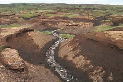 Thick layer of peat covers Bleaklow & groughs