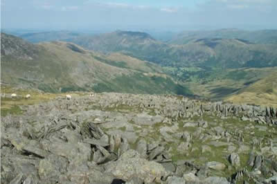 Spiky rocks are typical of Hart Crag's summit