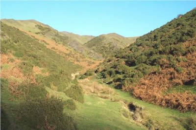 The side valleys all provide interest in the Long Mynd