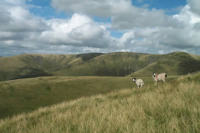 Summit ridge of Howgills with Calf in view