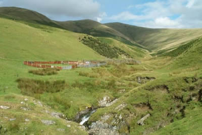 Crosdale Beck tumbles down from the slopes of Arant Haw